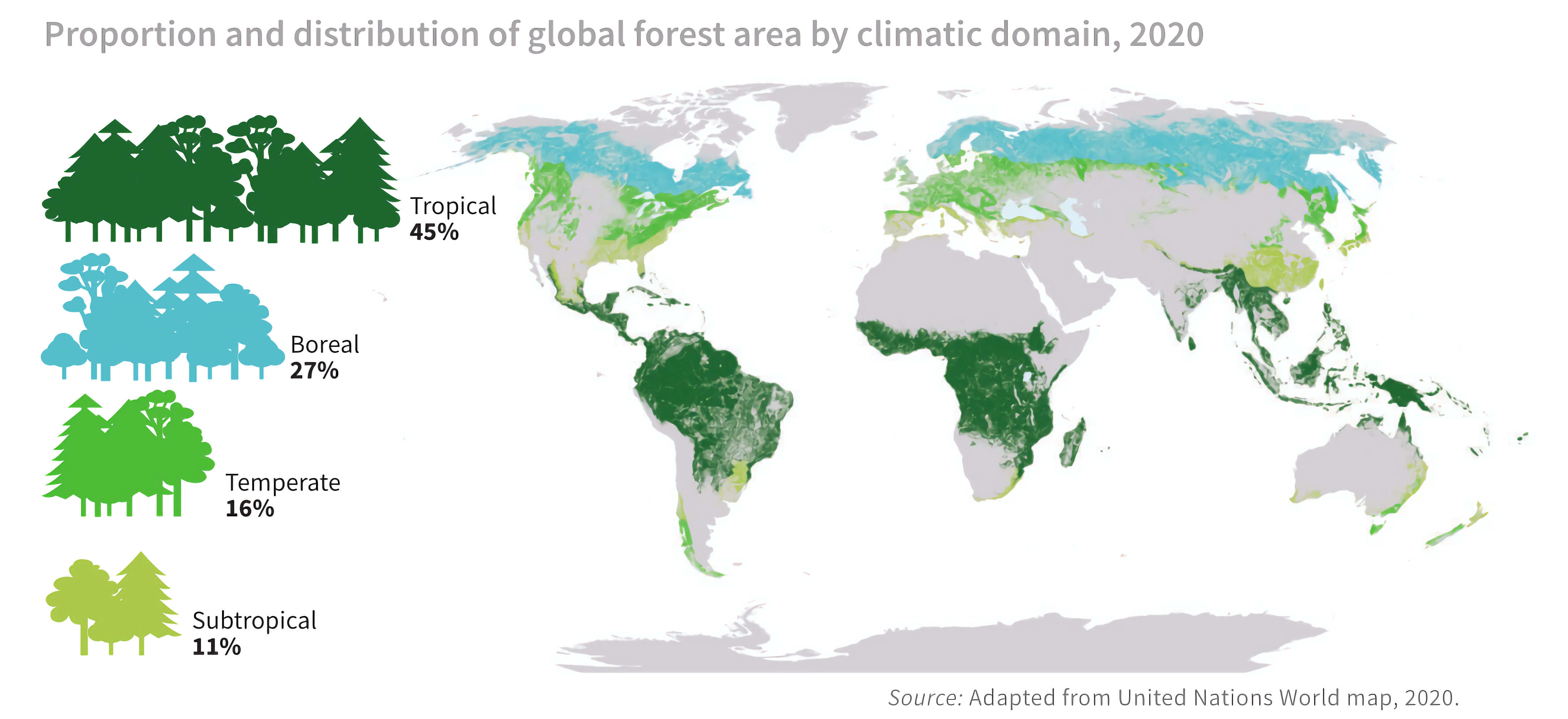 Proportion and distribution of global forest